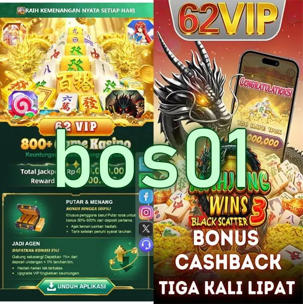 bos01 APK